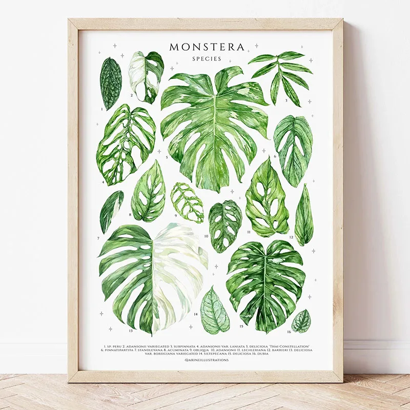 1 ชิ้น ภาพพิมพ์บนผ้าใบลายใบไม้ - Art Craft House บทวิจารณ์และราคา
