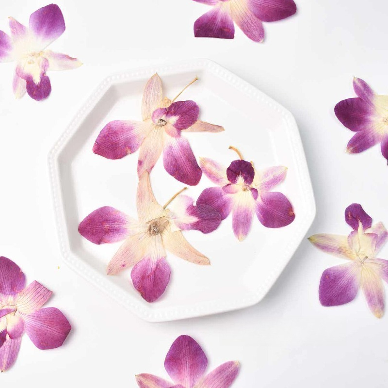 4 ชิ้น, ดอกกล้วยไม้ผีเสื้อแท้แ - Art Craft Butterfly บทวิจารณ์และราคา
