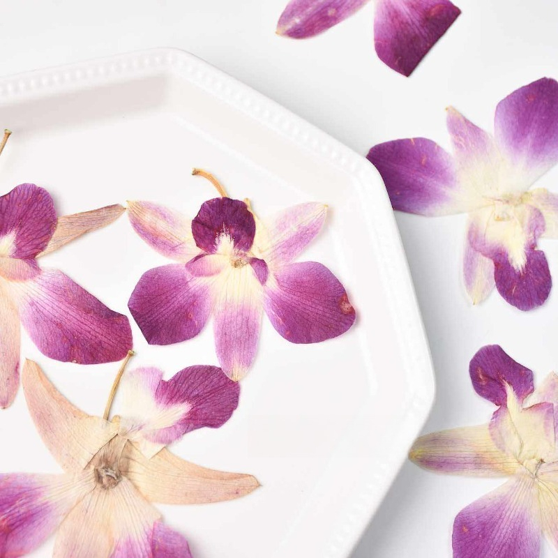4 ชิ้น, ดอกกล้วยไม้ผีเสื้อแท้แ - Art Craft Butterfly บทวิจารณ์และราคา