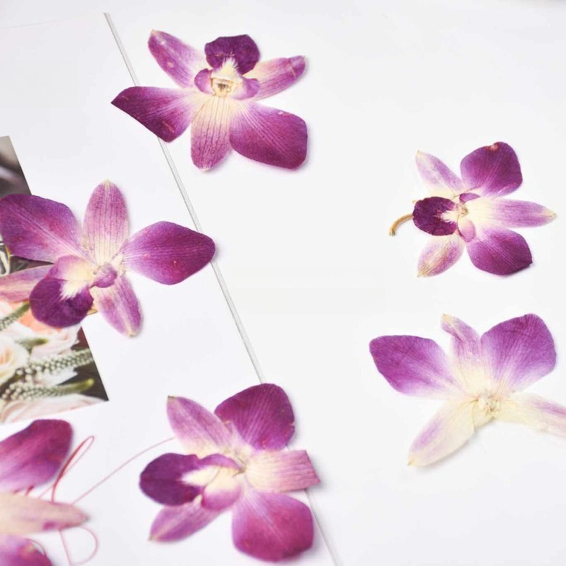 4 ชิ้น, ดอกกล้วยไม้ผีเสื้อแท้แ - Art Craft Butterfly บทวิจารณ์และราคา