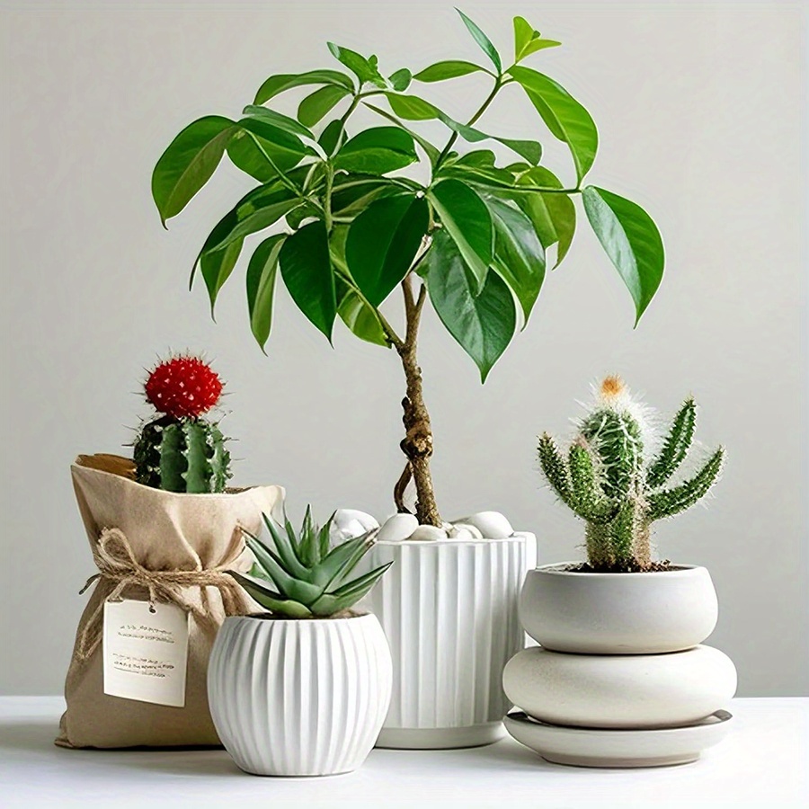 หินกรวดขัดเงาสีขาวธรรมชาติ ขนา - Art Craft Vase บทวิจารณ์และราคา