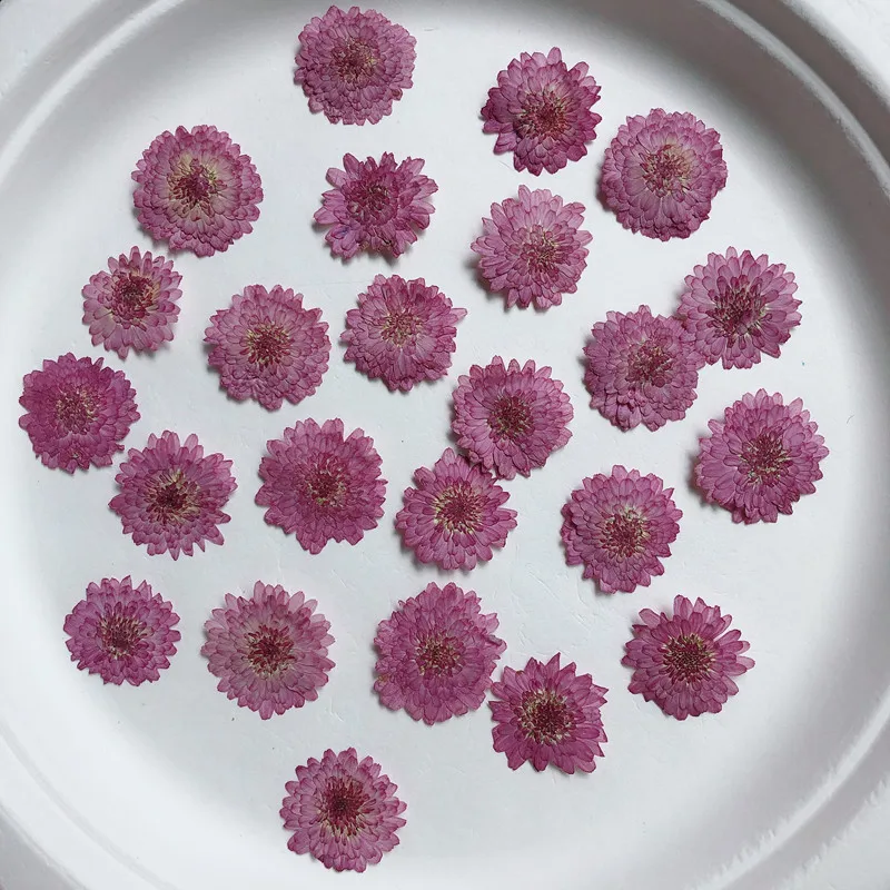 ธรรมชาติ Pressed ดอกไม้เบญจมาศ - Art Craft 2 Year Olds บทวิจารณ์และราคา
