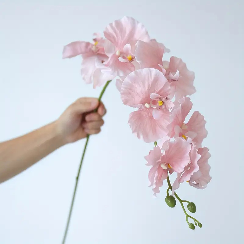 ดอกกล้วยไม้ประดิษฐ์แบบกิ่งยาว  - Art Craft Butterfly บทวิจารณ์และราคา