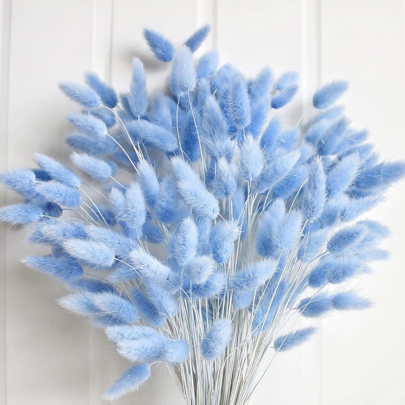 100PCS Blue Hare's-tail หญ้ากร - Art Craft Vase บทวิจารณ์และราคา