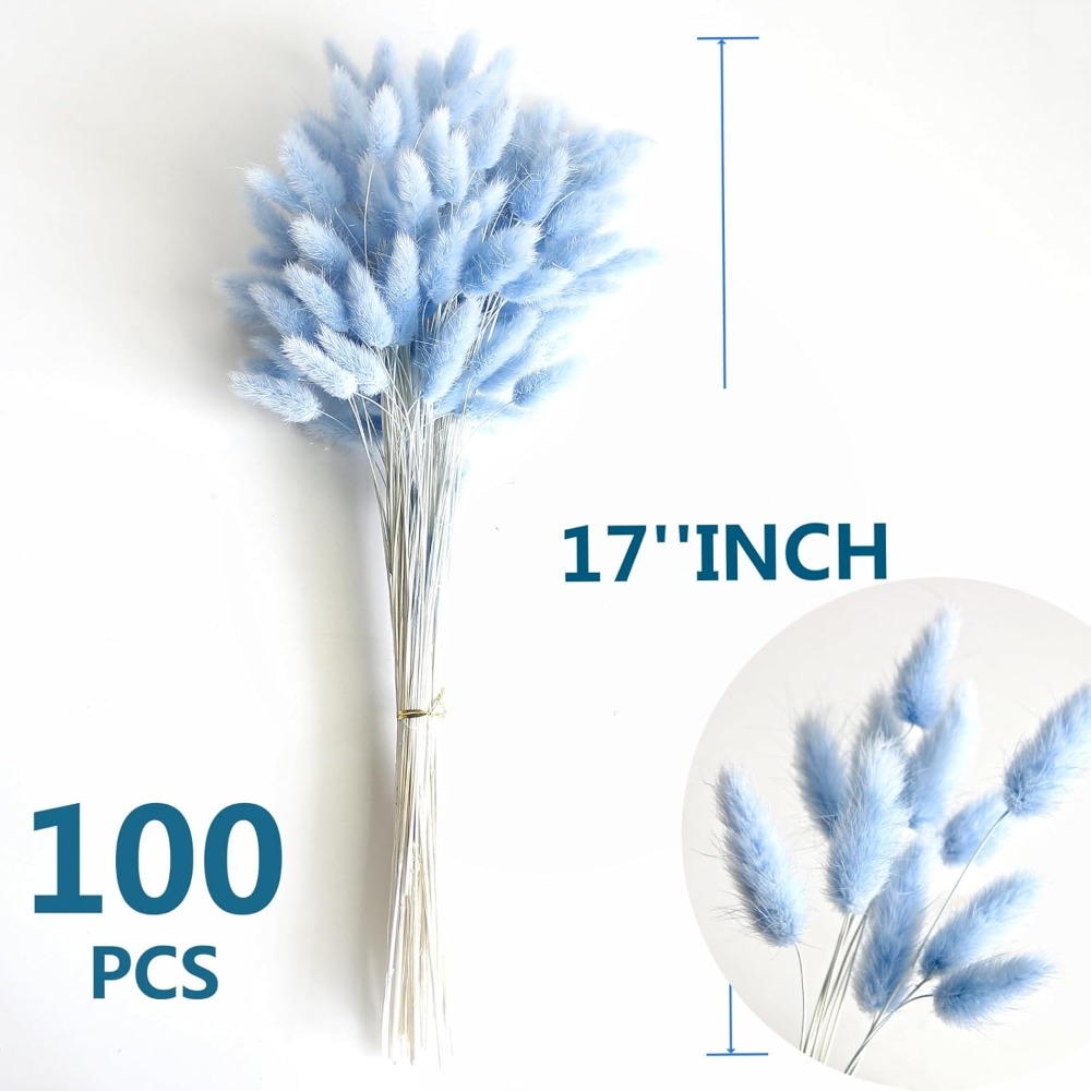 100PCS Blue Hare's-tail หญ้ากร - Art Craft Vase บทวิจารณ์และราคา
