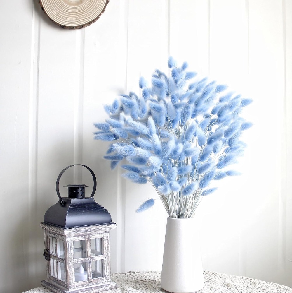 100PCS Blue Hare's-tail หญ้ากร - Art Craft Vase บทวิจารณ์และราคา